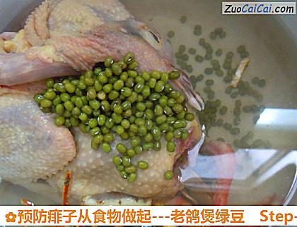 -老鸽煲绿豆做法第四步骤