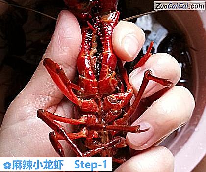 麻辣小龙虾做法第一步骤