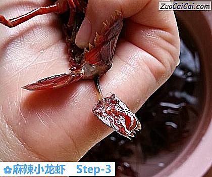 麻辣小龙虾做法第三步骤