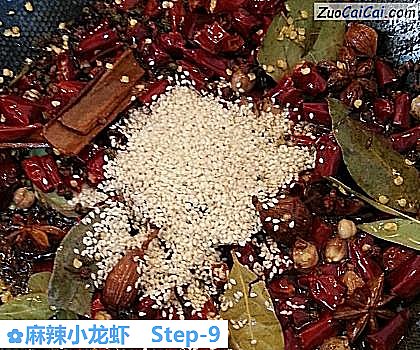 麻辣小龙虾做法第九步骤