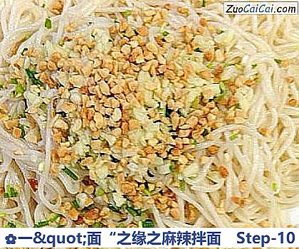 一＇面“之缘之麻辣拌面做法第十步骤
