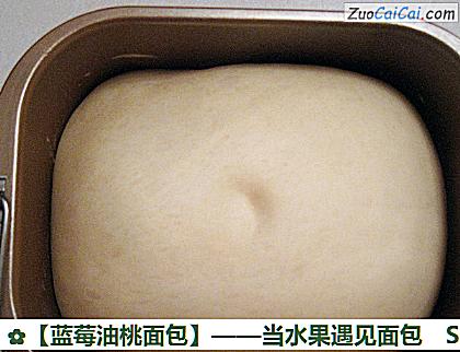 蓝莓油桃面包做法第四步骤