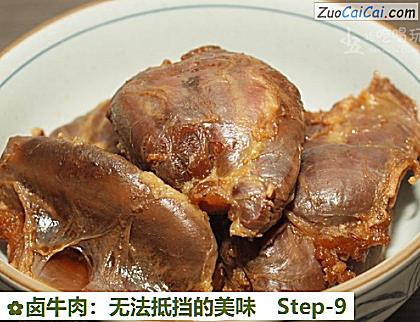 卤牛肉:无法抵挡的美味做法第九步骤