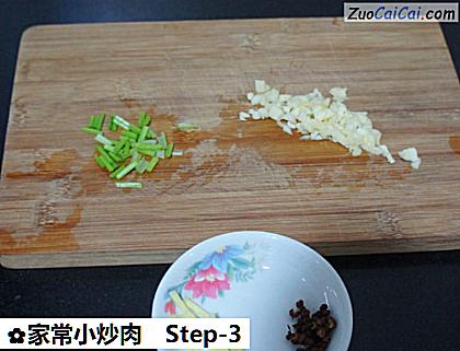 家常小炒肉做法第三步骤