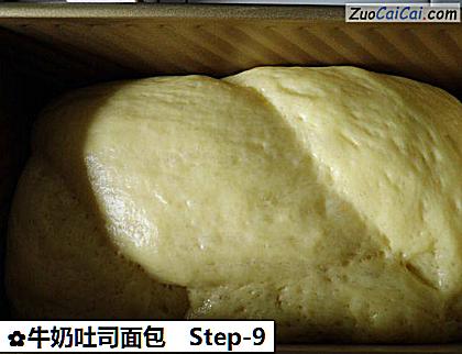牛奶吐司面包做法第九步骤