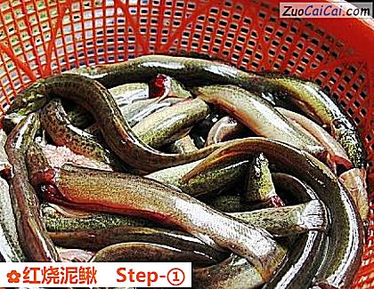 红烧泥鳅做法第一步骤