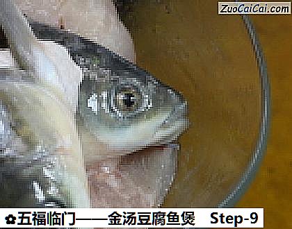 金汤豆腐鱼煲做法第九步骤