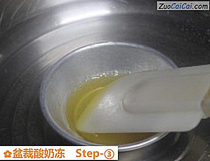 盆裁酸奶冻做法第三步骤