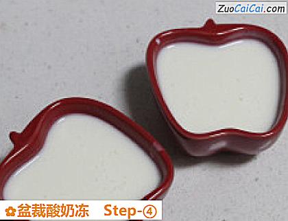 盆裁酸奶冻做法第四步骤