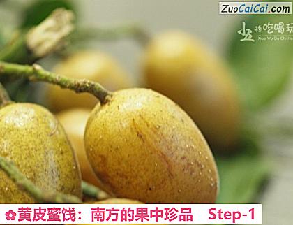黄皮蜜饯：南方的果中珍品做法第一步骤