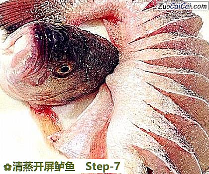清蒸开屏鲈鱼做法第七步骤