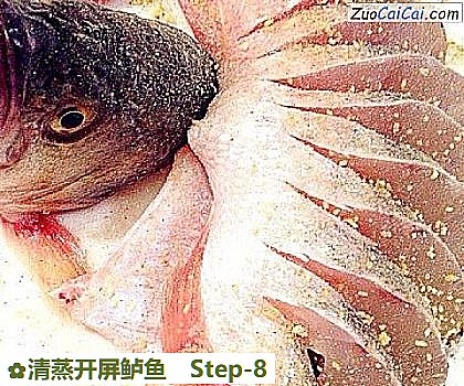 清蒸开屏鲈鱼做法第八步骤
