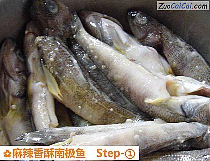 麻辣香酥南极鱼做法第一步骤
