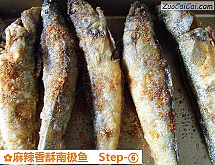 麻辣香酥南极鱼做法第六步骤