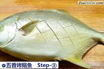 五香烤鲳鱼做法第三步骤