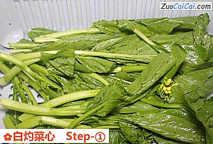 白灼菜心做法第一步骤