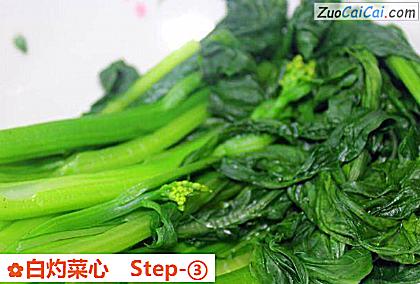 白灼菜心做法第三步骤