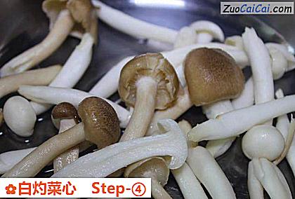 白灼菜心做法第四步骤