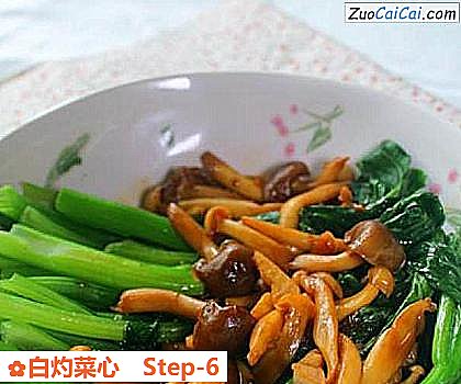 白灼菜心做法第六步骤