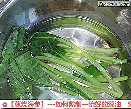 葱烧海参做法第九步骤