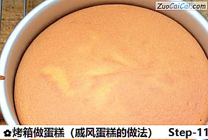 烤箱做蛋糕做法第十一步骤