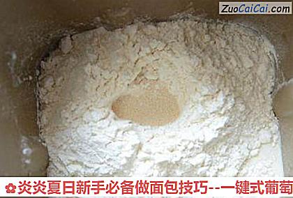 炎炎夏日新手必备做面包技巧做法第一步骤