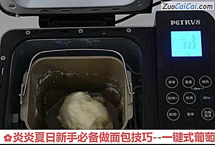 炎炎夏日新手必备做面包技巧做法第二步骤