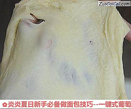 炎炎夏日新手必备做面包技巧做法第四步骤