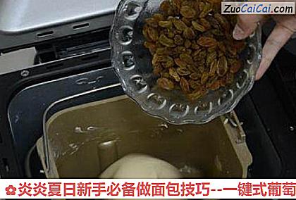 炎炎夏日新手必备做面包技巧做法第五步骤