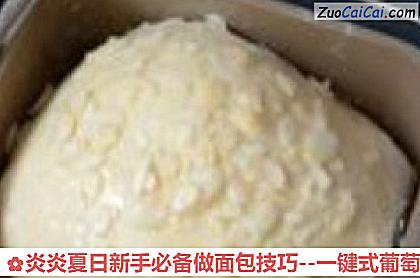炎炎夏日新手必备做面包技巧做法第六步骤