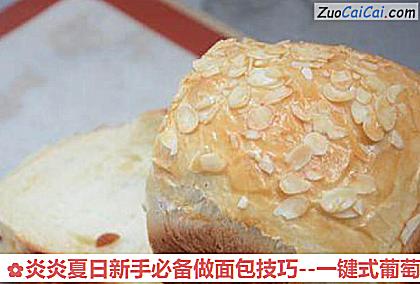 炎炎夏日新手必备做面包技巧做法第八步骤