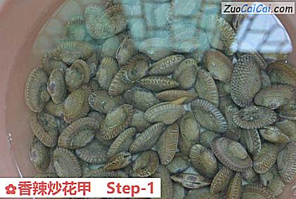 香辣炒花甲做法第一步骤