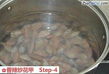 香辣炒花甲做法第四步骤