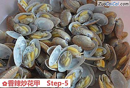 香辣炒花甲做法第五步骤