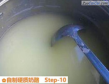 自制硬质奶酪做法第十步骤