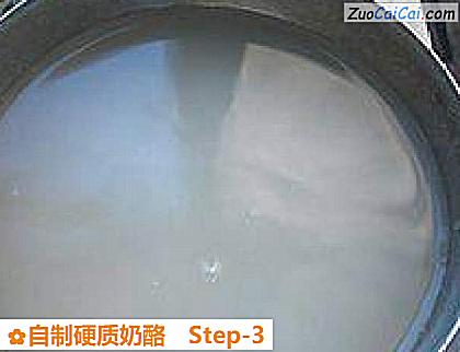 自制硬质奶酪做法第三步骤