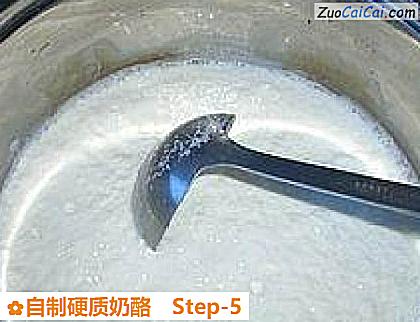 自制硬质奶酪做法第五步骤