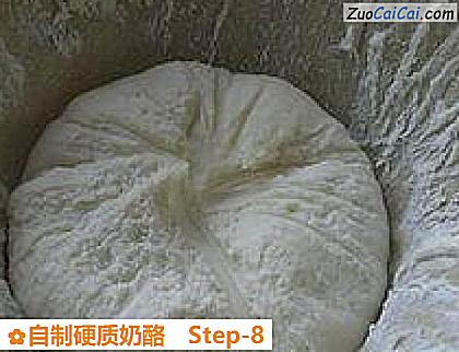 自制硬质奶酪做法第八步骤