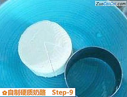 自制硬质奶酪做法第九步骤