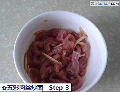 五彩肉丝炒面做法第三步骤