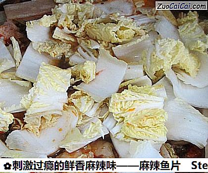 麻辣鱼片做法第六步骤