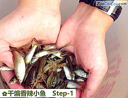 干煸香辣小鱼做法第一步骤