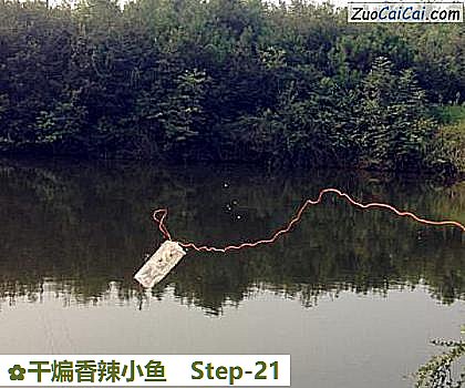 干煸香辣小鱼做法第二十一步骤