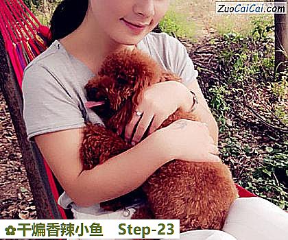 干煸香辣小鱼做法第二十三步骤