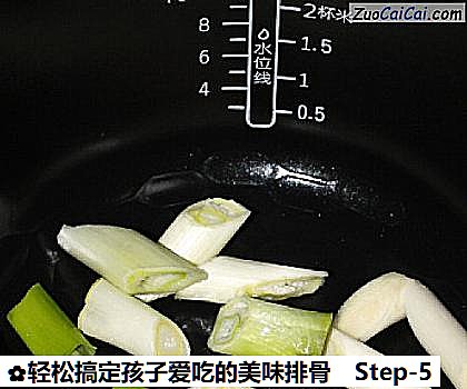 轻松搞定孩子爱吃的美味排骨做法第五步骤