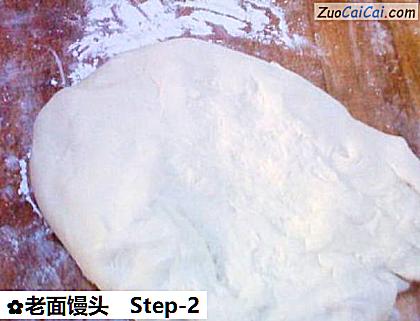 老面馒头做法第二步骤