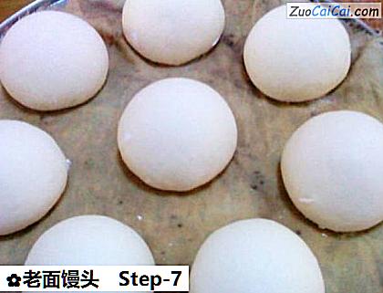 老面馒头做法第七步骤