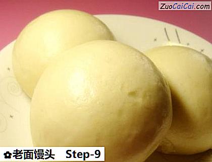 老面馒头成品图1