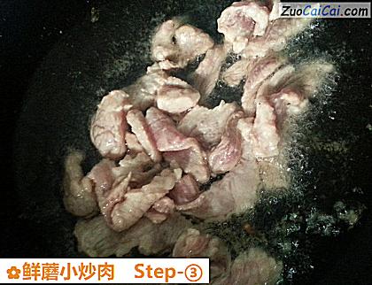 鲜蘑小炒肉做法第三步骤