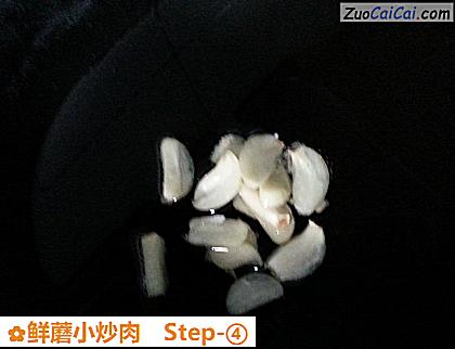 鲜蘑小炒肉做法第四步骤